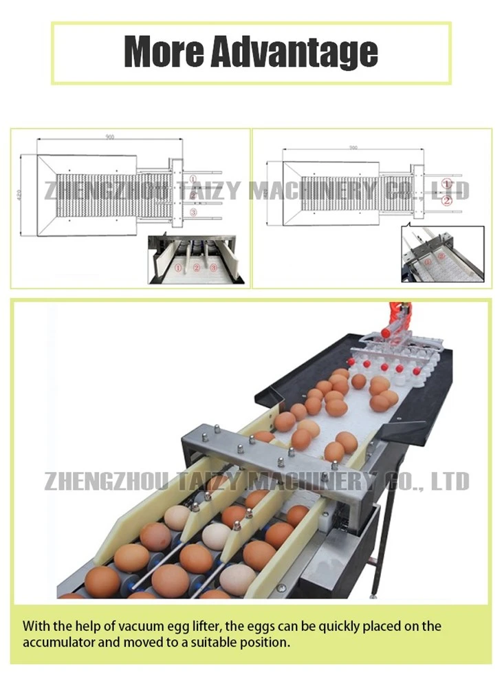 egg grading machine