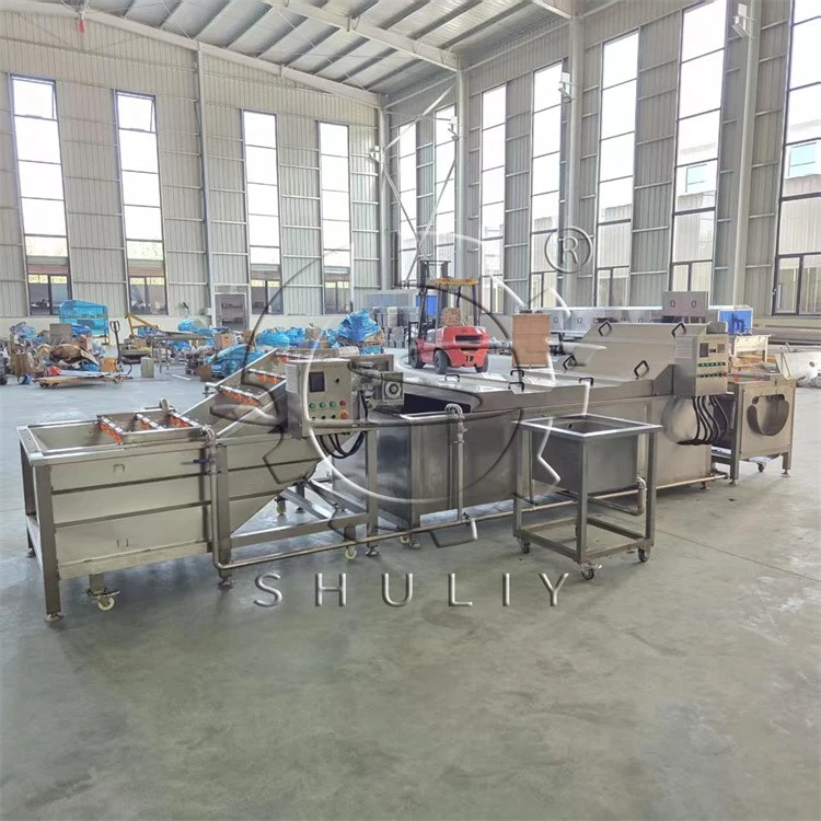 Potato Chips Blanching Machine best