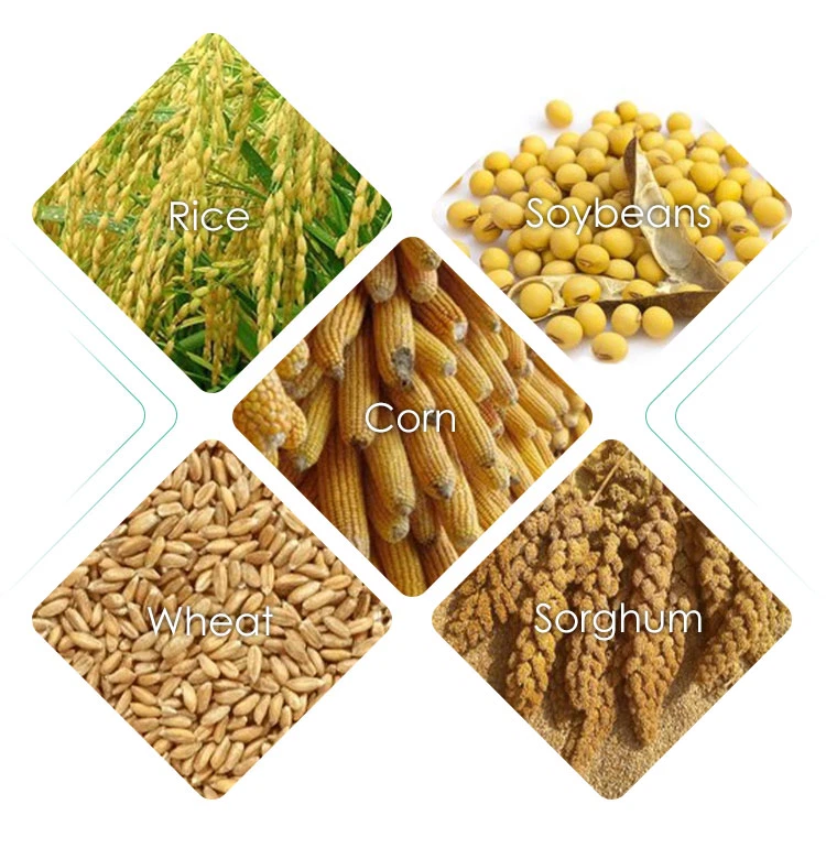 Wheat Corn Paddy Dryer Wheat Corn Paddy Dryer
