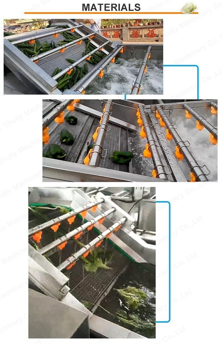 tomato cleaning machine